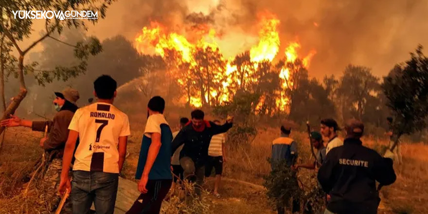 Cezayir yangınlarında ölü sayısı 69'a yükseldi