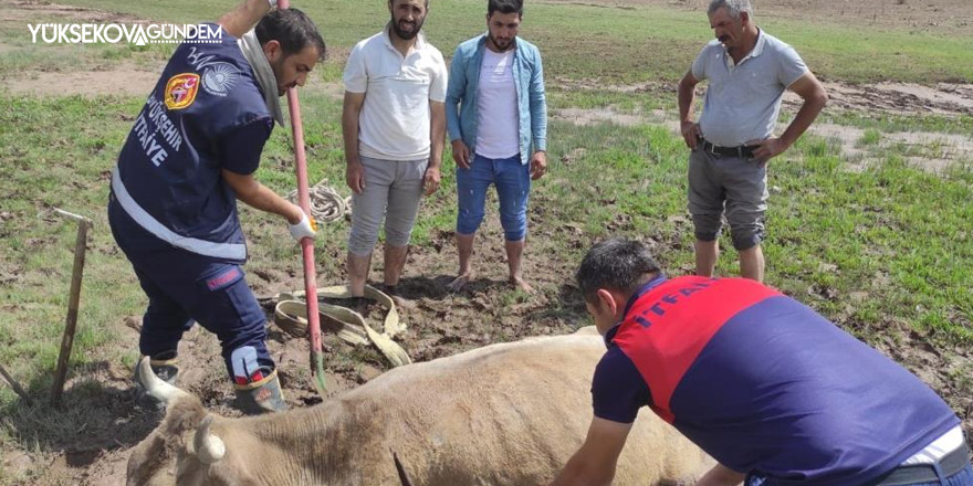 Özalp’ta çamura saplanan büyükbaş hayvan kurtarıldı