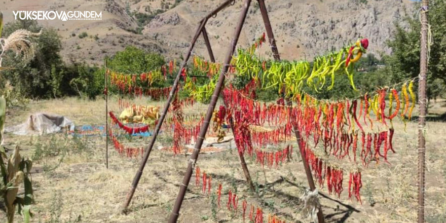 Şırnak ve Hakkari köylerinde kışa hazırlık başladı