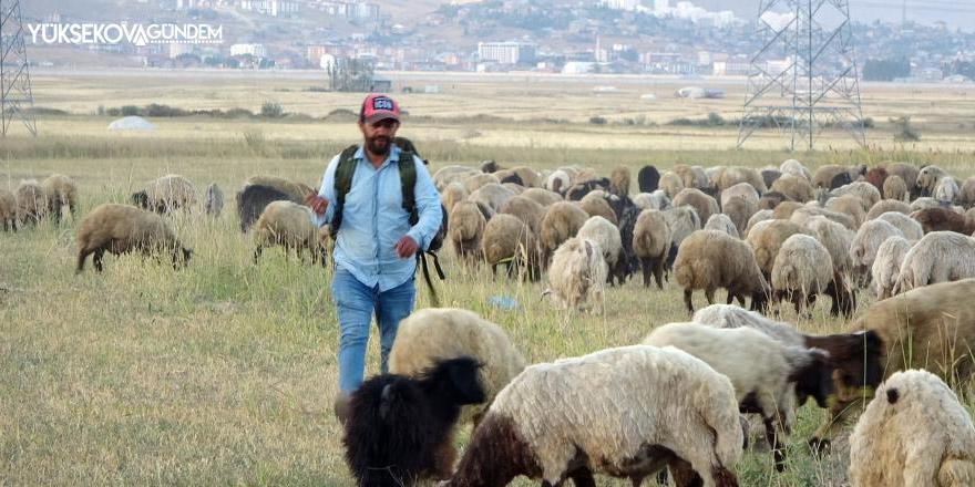 Yüksekova’da etkisini sürdüren kuraklık çobanları da vurdu