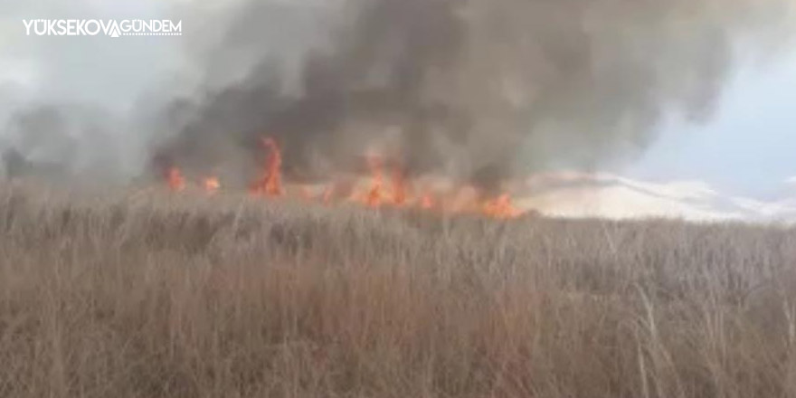 Yüksekova'daki Nehil Sazlığı’nda yangın