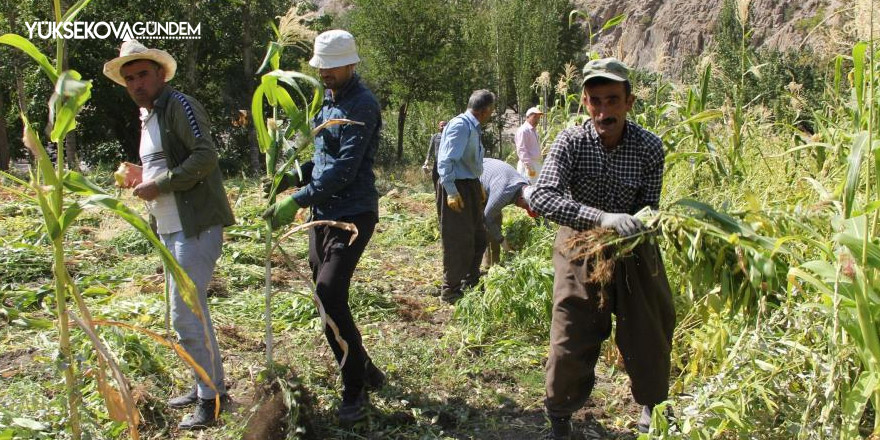 Hakkari’de kış hazırlığı