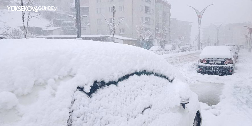 Hakkari'de 179 yerleşim yerinin yolu ulaşıma kapandı