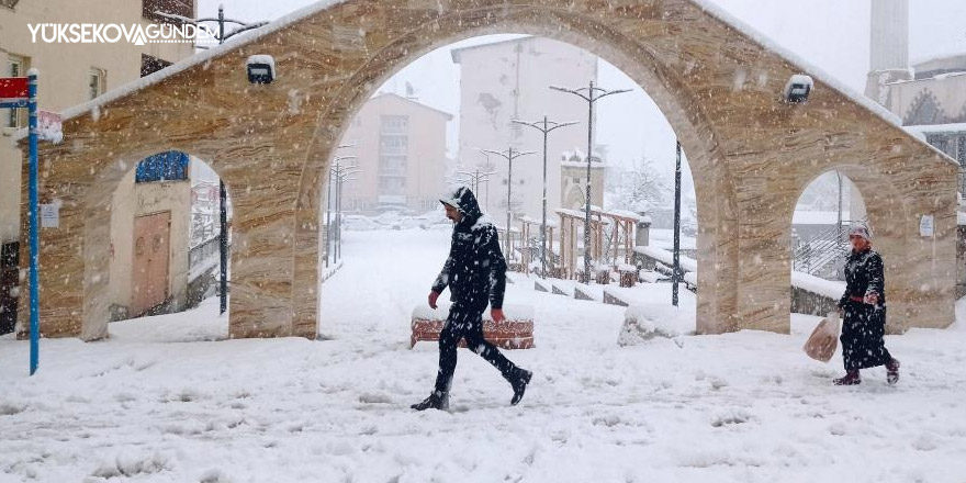 Hakkari'de 56 yerleşim yeri ulaşıma kapandı