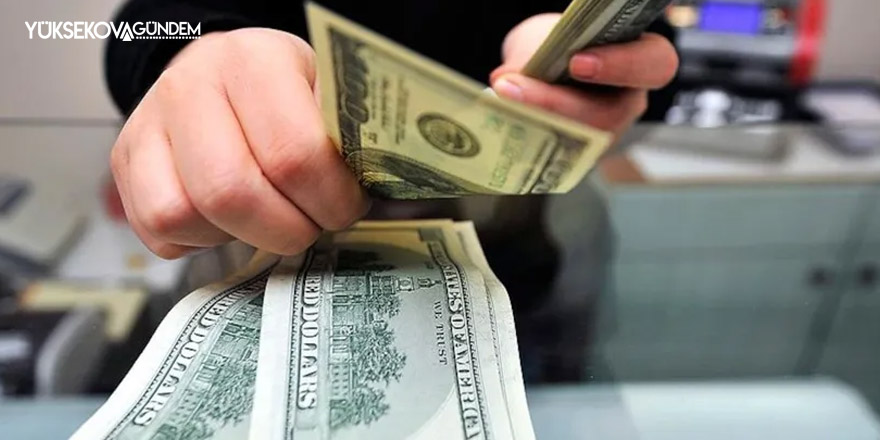 Dolar ve euro'da günlük artış yüzde 5'i geçti