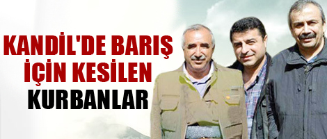 Kandil'de barış için kesilen kurbanlar