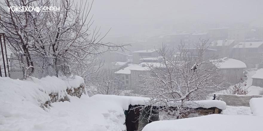 Hakkari'de 58 yerleşim yerinin yolu kapandı