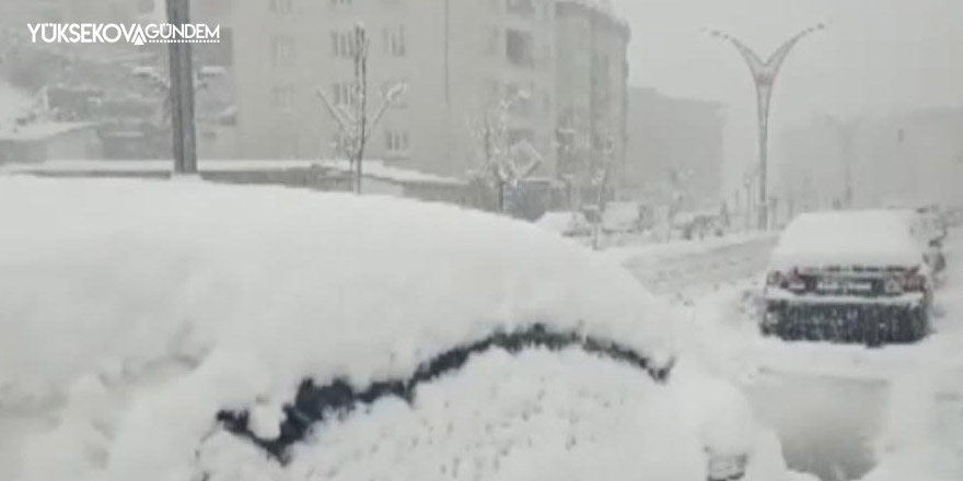 Hakkari’de 109 yerleşim yolu ulaşıma kapandı