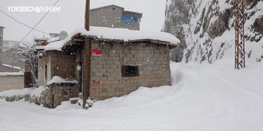 Hakkari'de 328 yerleşim yerinin yolu kapandı