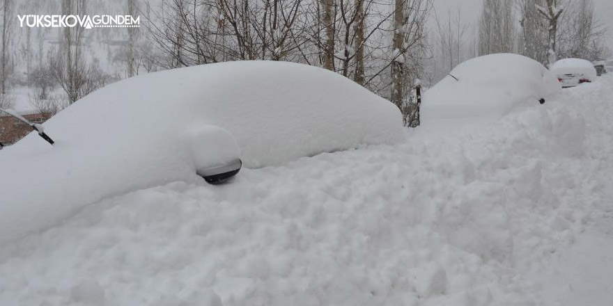 Şırnak'ta ağaçlar kırıldı, araçlar karda kayboldu