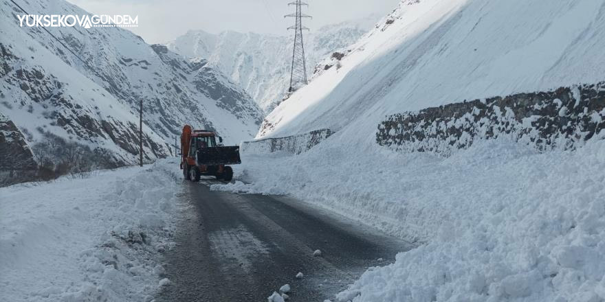 Hakkari-Van karayoluna çığ düştü