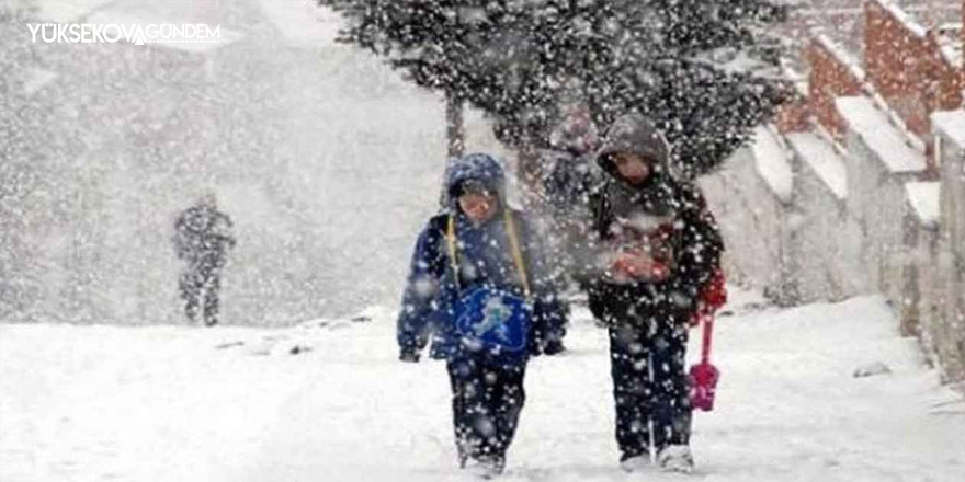 Eğitime kar engeli! Yüksekova'da okullar tatil edildi