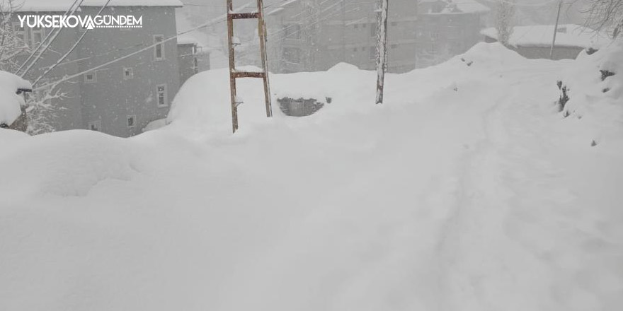 Hakkari'de 20 yerleşim yerinin yolu ulaşıma kapandı