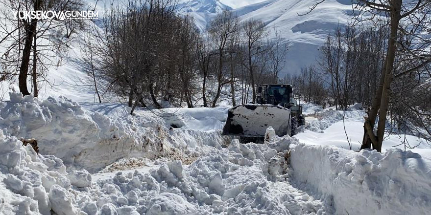 Hakkari'de 15 yerleşim yerinin yolu ulaşıma kapandı