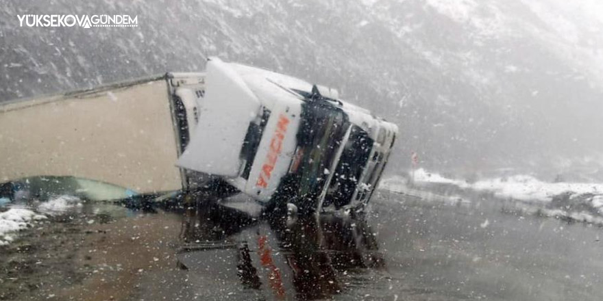 Yoldan çıkan tır devrildi