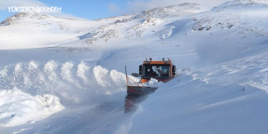 Van'da 308 yerleşim yerinin yolu ulaşıma kapandı