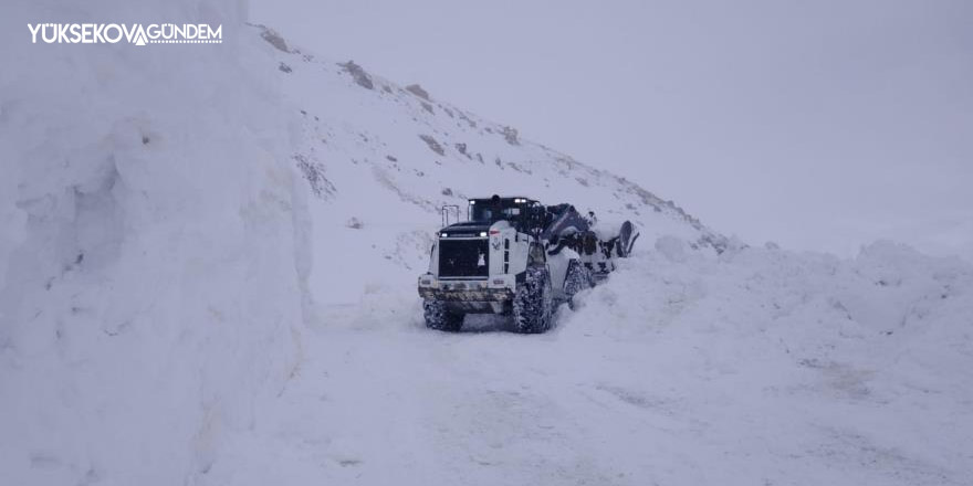 Hakkari'de 40 köy yolu ulaşıma kapandı