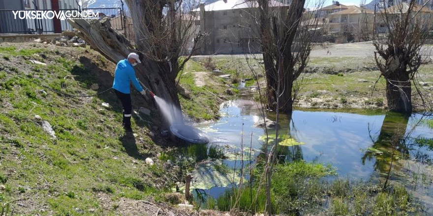 Hakkari'de ilaçlama çalışması başlatıldı