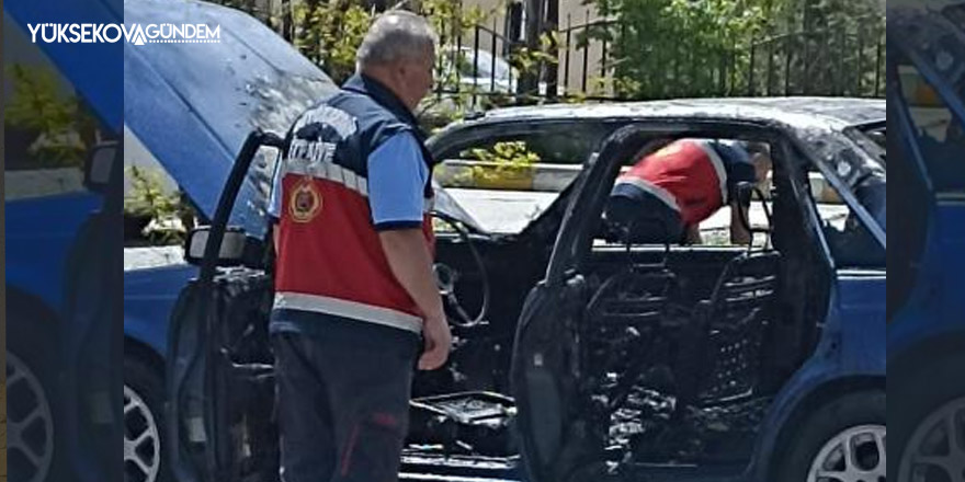 Van’da park halindeki otomobil alev alev yandı