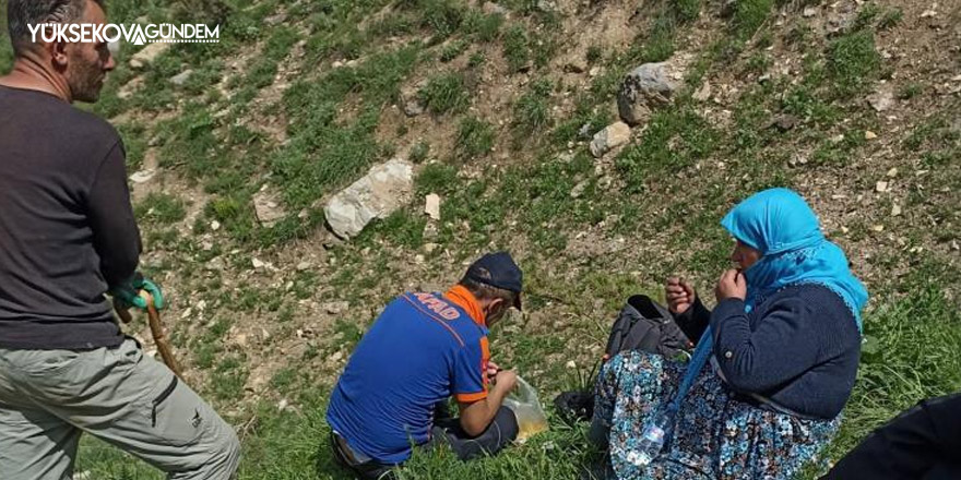 Hakkari'de pancar toplarken ayağı kırılan kadın kurtarıldı