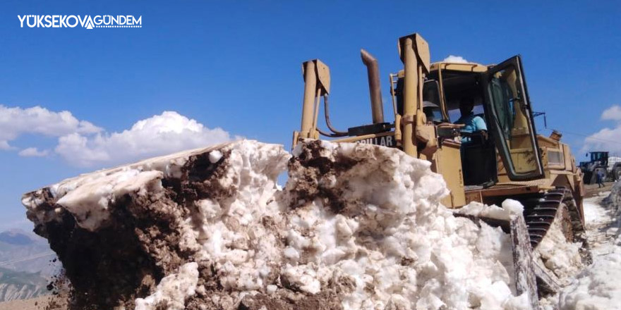 Hakkari 3 bin 500 rakımda zorunlu su çalışması