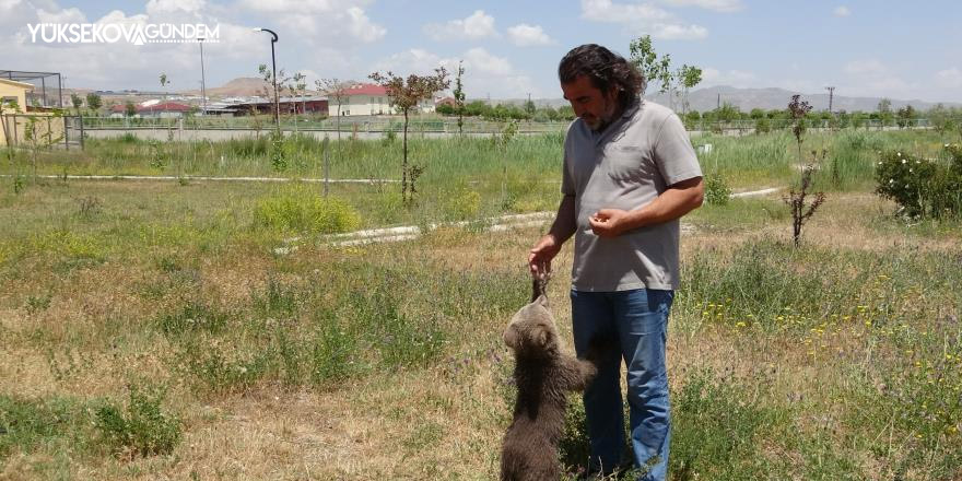 Sevimli ayı ‘Haçuvan’ ile ayrılık zamanı