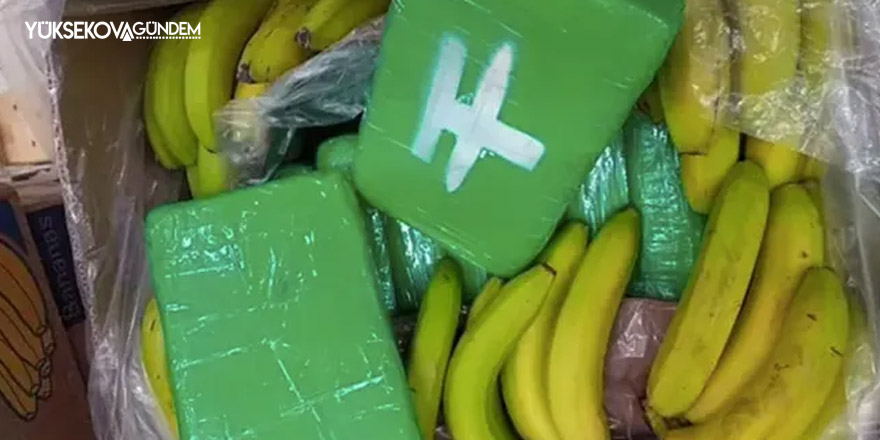 Çekya'da marketlere gönderilen muz kolilerinden 840 kilo kokain çıktı