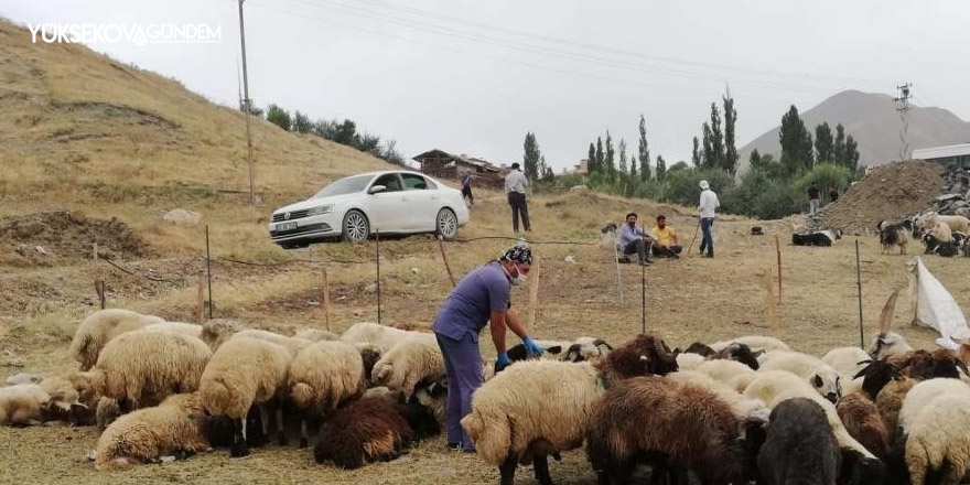 Hakkari’de kurban satış ve kesim yerleri belirlendi