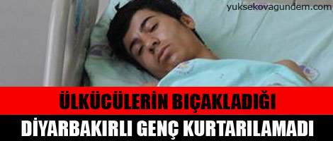 Diyarbakırlı genç kurtarılamadı