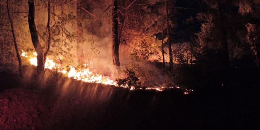 Feke'deki orman yangınları söndürüldü
