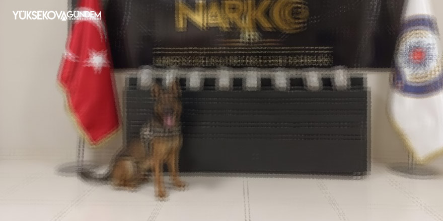 Van’da 8 kilo 700 gram metamfetamin ele geçirildi