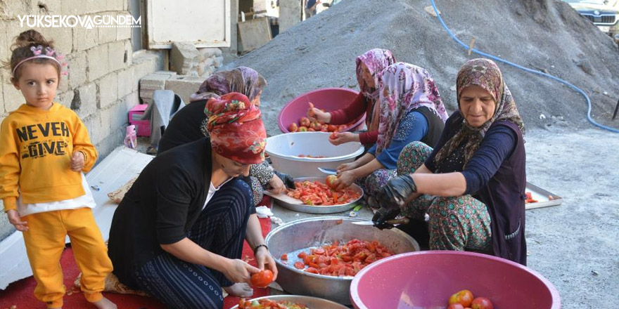 Hakkarili kadınlar salça üretimine başladı