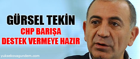 Tekin: CHP barışa destek vermeye hazır