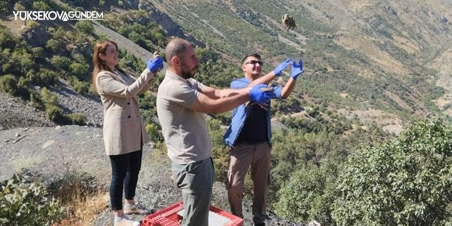 Hakkari'de bin 300 keklik doğaya bırakıldı