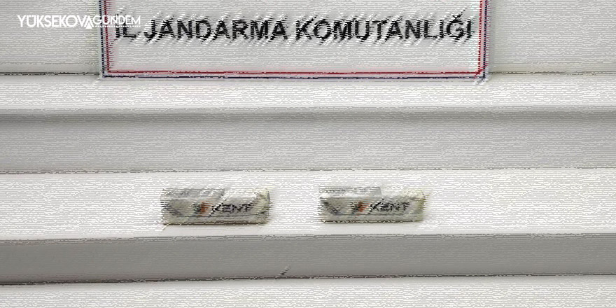 Yüksekova'da 2 kilo metamfetamin ele geçirildi