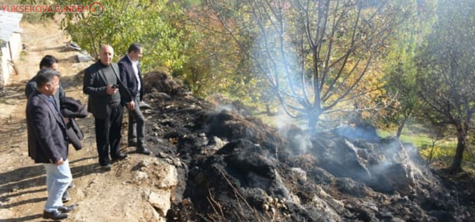 Şemdinli'de 7 bin bağ ot ve 13 ton saman kül oldu