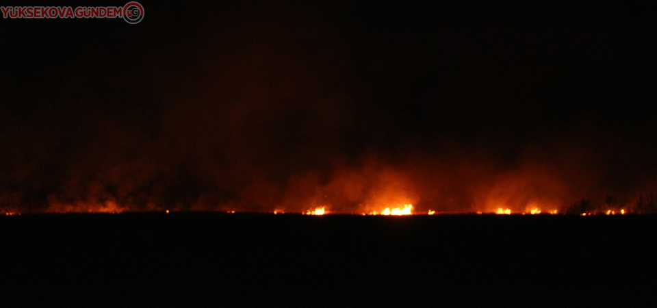 Yüksekova'nın kuş cenneti 4 gündür alev alev yanıyor