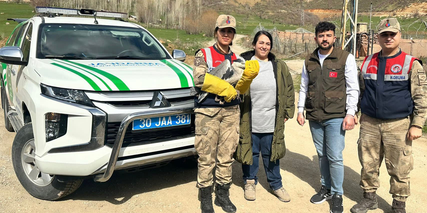 Şemdinli'de yaralı gri balıkçıl kuş bulundu