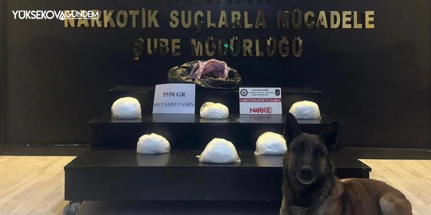 Şemdinli’de 5 kilo 550 gram metamfetamin ele geçirildi