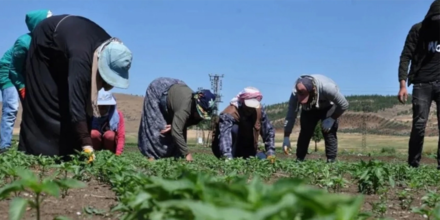 CHP’den mevsimlik tarım işçileri için 10 maddelik çözüm önerisi