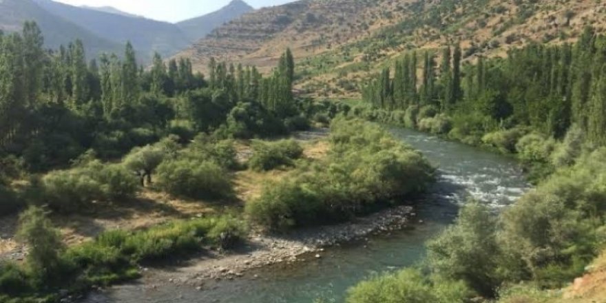 Habur Çayı’na giren 2 kuzen yaşamını yitirdi