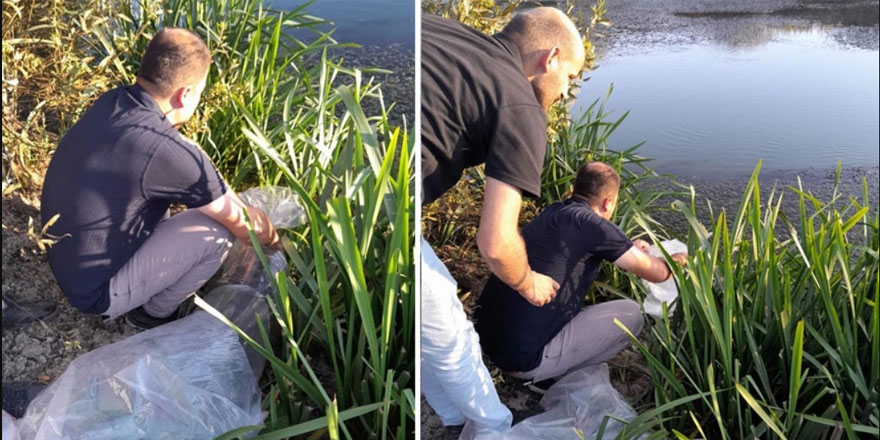 Yüksekova’da 100 bin sazan balığı yavrusu suyla buluşturuldu