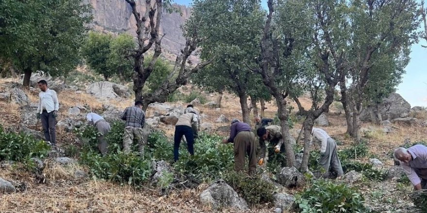 Derecik’te vatandaşların kış hazırlığı başladı