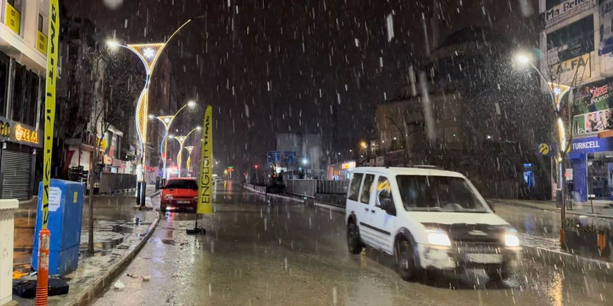 Yüksekova’da kar yağışı etkili oldu