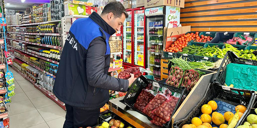 Yüksekova'da 'Çin Kestanesi' denetimi