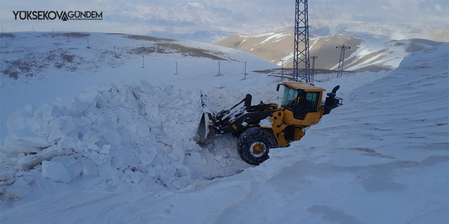 Hakkari'de kar nedeniyle 263 yerleşim yerinin yolu kapandı