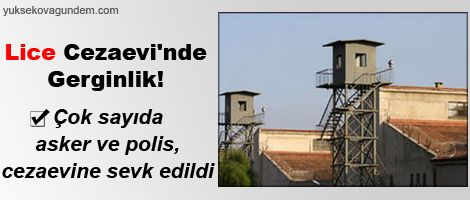 Lice cezaevinde isyan