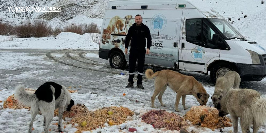 Sokak hayvanlarına yiyecek bırakıldı