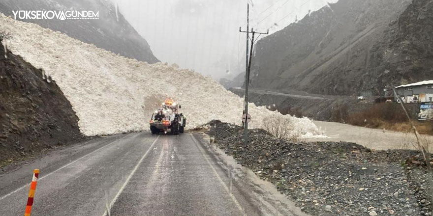 Hakkari-Şırnak yoluna çığ indi