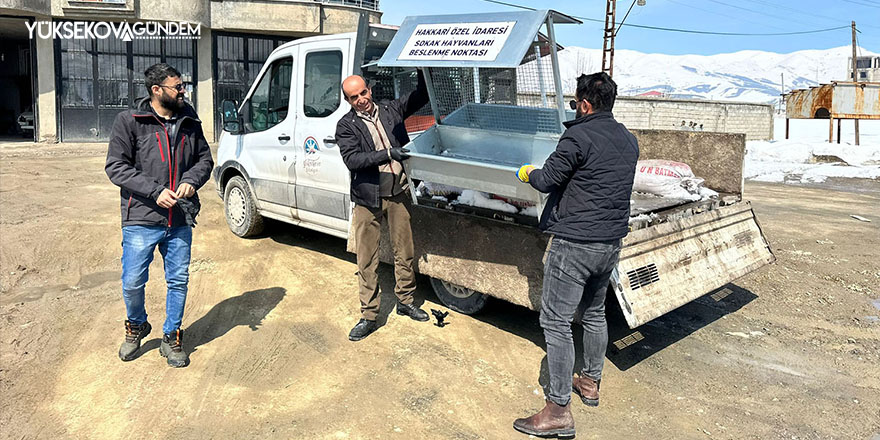 Yüksekova'da Sokak hayvanları için besleme odakları bırakıldı